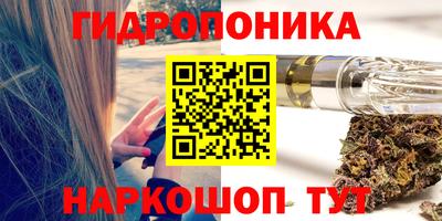 Альфа ПВП Бийск