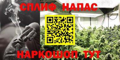 Альфа ПВП Бийск