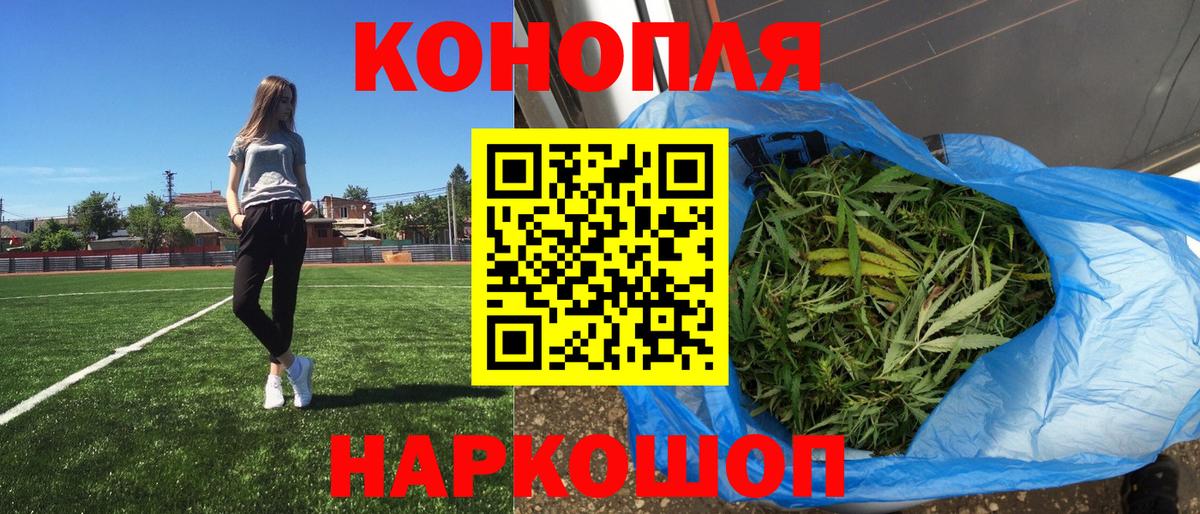 Канабис планчик  Каннабис ГИДРОПОН  Марихуана планчик  Грозный  Вход с VPN 